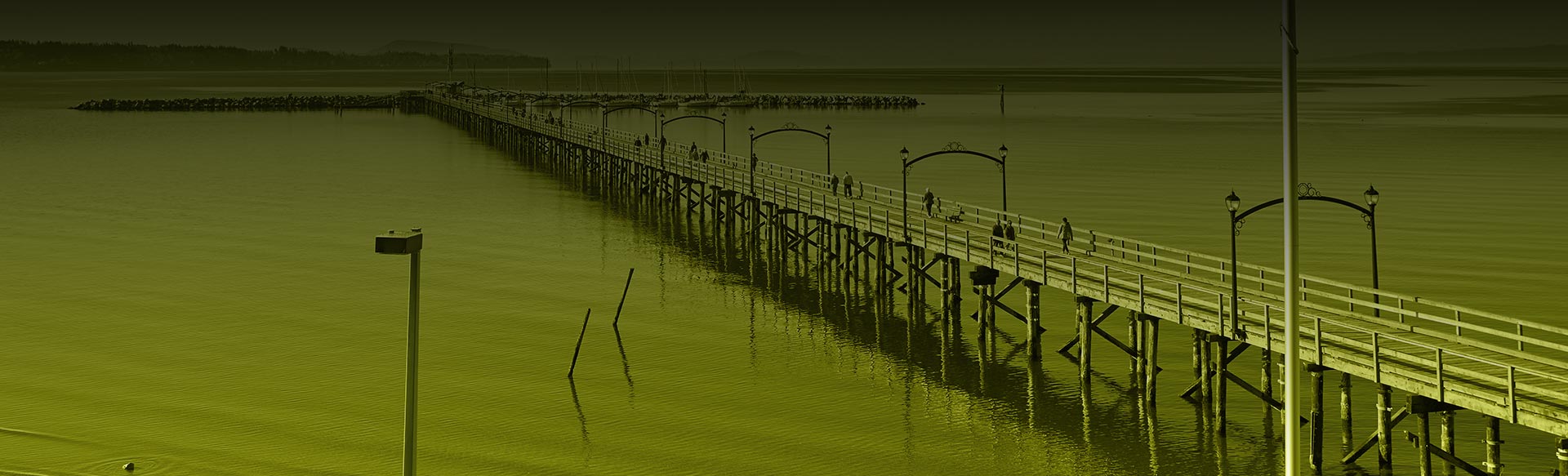 Professional Land Surveyor in White Rock, BC Land Surveyor in White Rock BC