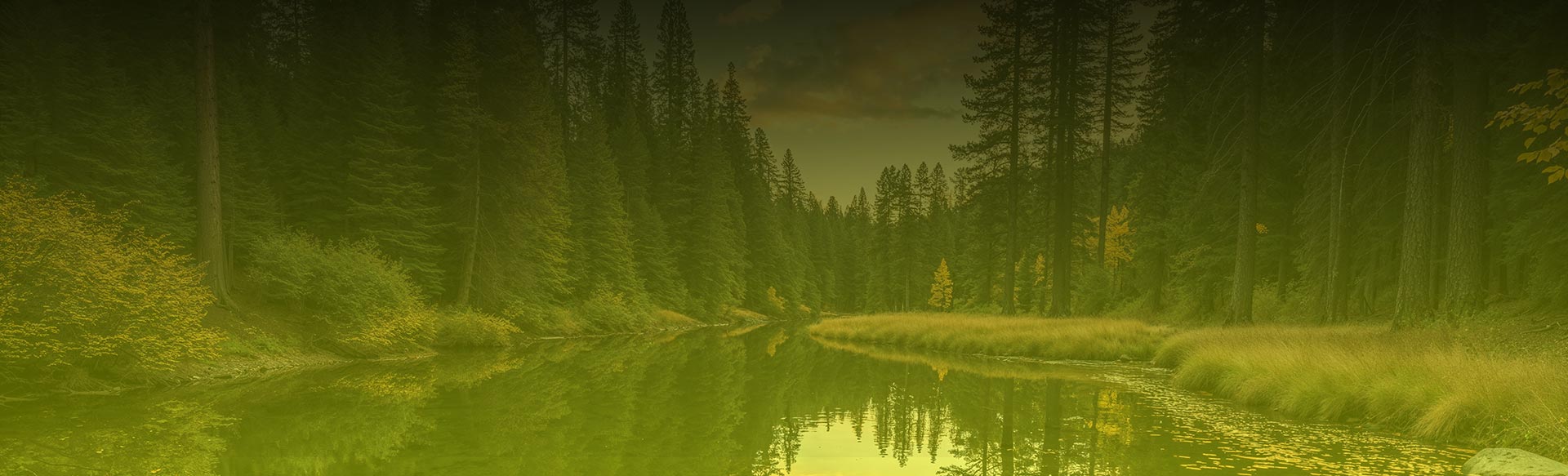 Land Surveyor in Chilliwack BC